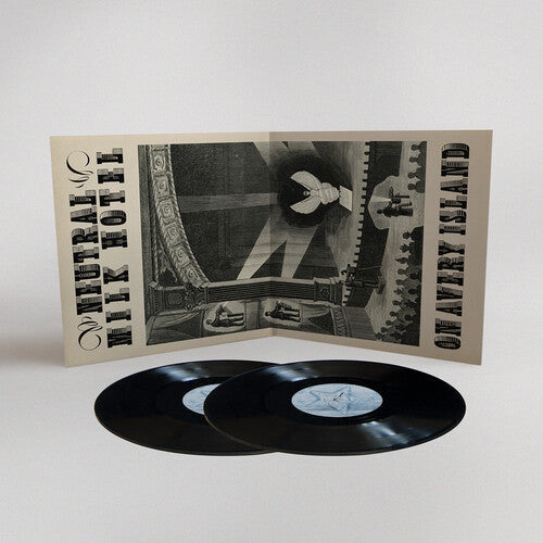 The Collected Works Of Neutral Milk Hotel - Vinyl LP
